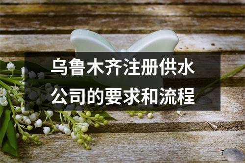 乌鲁木齐注册供水公司的要求和流程