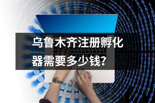 乌鲁木齐注册孵化器需要多少钱？