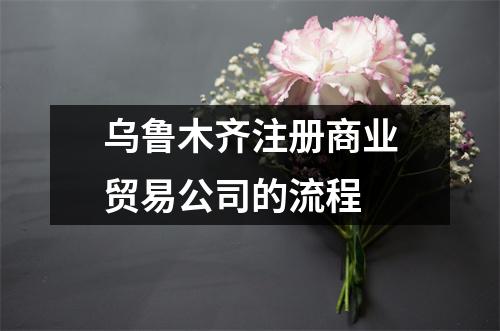 乌鲁木齐注册商业贸易公司的流程