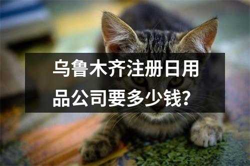 乌鲁木齐注册日用品公司要多少钱？