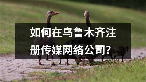 如何在乌鲁木齐注册传媒网络公司？