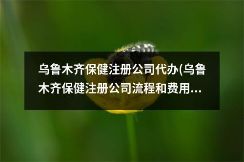 乌鲁木齐保健注册公司代办(乌鲁木齐保健注册公司流程和费用标准)