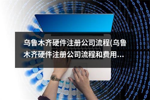 乌鲁木齐硬件注册公司流程(乌鲁木齐硬件注册公司流程和费用标准)