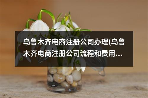 乌鲁木齐电商注册公司办理(乌鲁木齐电商注册公司流程和费用标准)