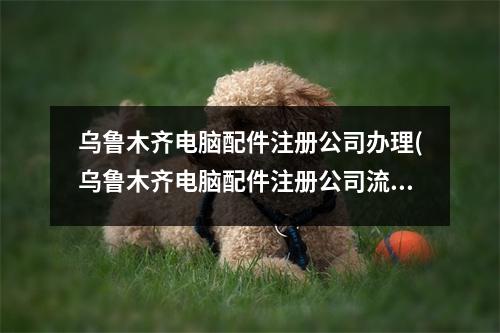 乌鲁木齐电脑配件注册公司办理(乌鲁木齐电脑配件注册公司流程和费用标准)