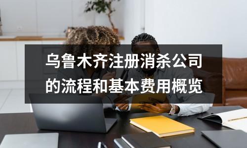 乌鲁木齐注册消杀公司的流程和基本费用概览