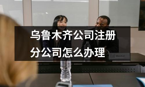 乌鲁木齐公司注册分公司怎么办理