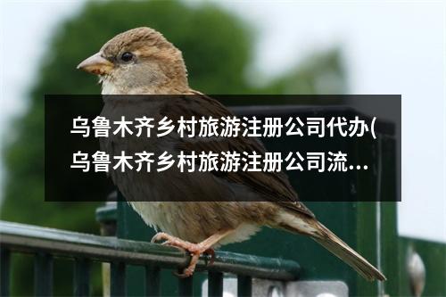 乌鲁木齐乡村旅游注册公司代办(乌鲁木齐乡村旅游注册公司流程和费用标准)