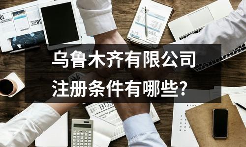 乌鲁木齐有限公司注册条件有哪些?