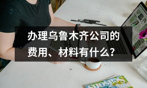 办理乌鲁木齐公司的费用、材料有什么？