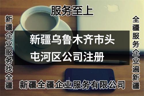 新疆乌鲁木齐市头屯河区公司注册