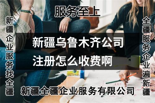 新疆乌鲁木齐公司注册怎么收费啊