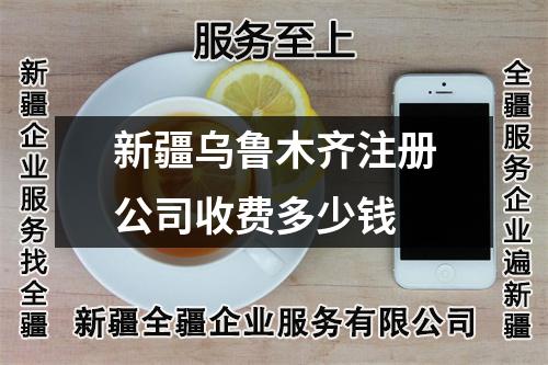 新疆乌鲁木齐注册公司收费多少钱