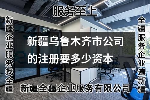 新疆乌鲁木齐市公司的注册要多少资本