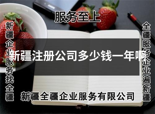 新疆注册公司多少钱一年啊