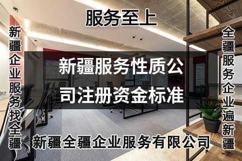 新疆服务性质公司注册资金标准