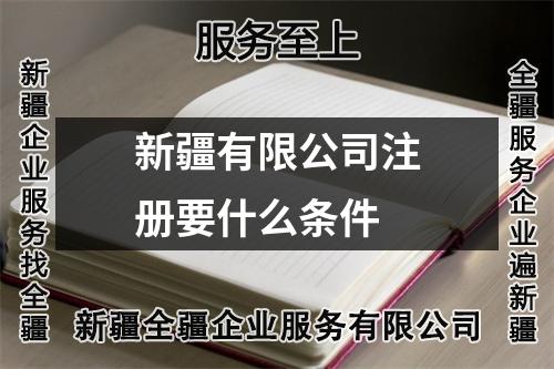 新疆有限公司注册要什么条件