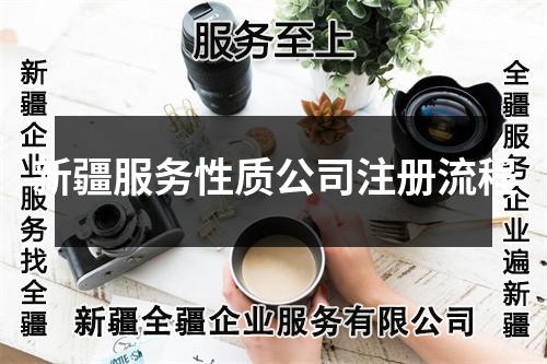 新疆服务性质公司注册流程