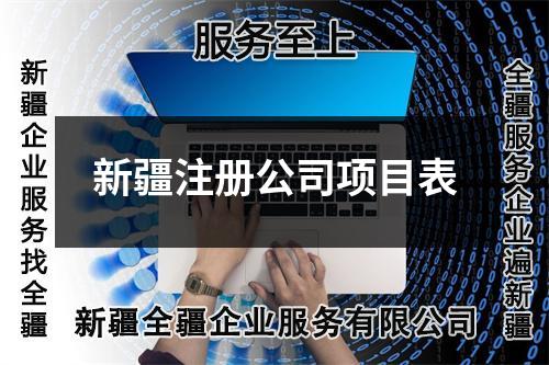 新疆注册公司项目表