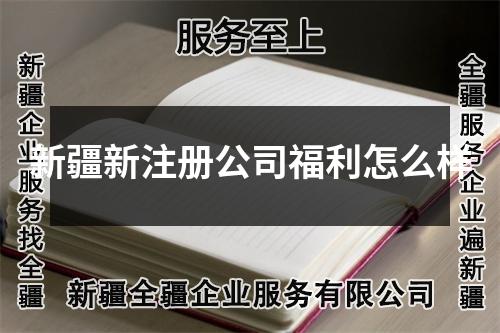 新疆新注册公司福利怎么样