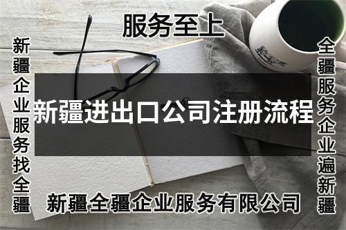 新疆进出口公司注册流程