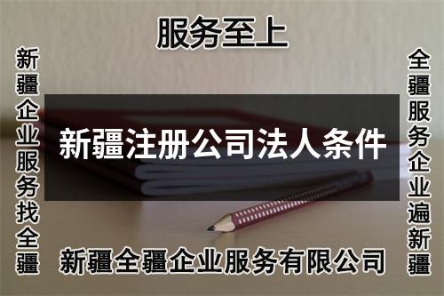 新疆注册公司法人条件
