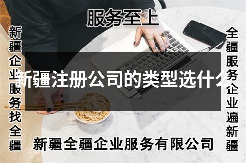 新疆注册公司的类型选什么