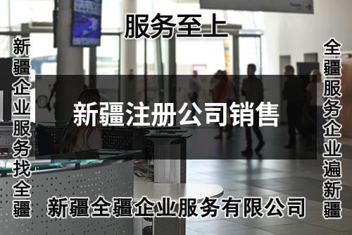 新疆注册公司销售