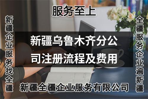 新疆乌鲁木齐分公司注册流程及费用