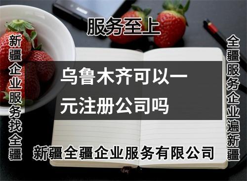 乌鲁木齐可以一元注册公司吗