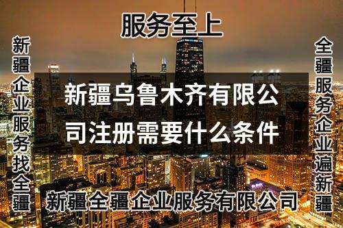 新疆乌鲁木齐有限公司注册需要什么条件