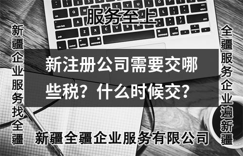 新注册公司需要交哪些税?什么时候交?