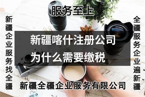 新疆喀什注册公司为什么需要缴税