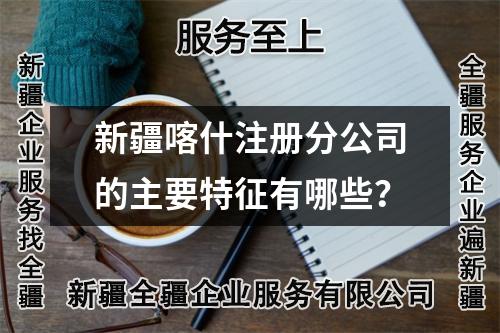 新疆喀什注册分公司的主要特征有哪些？