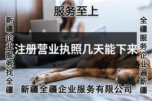 注册营业执照几天能下来